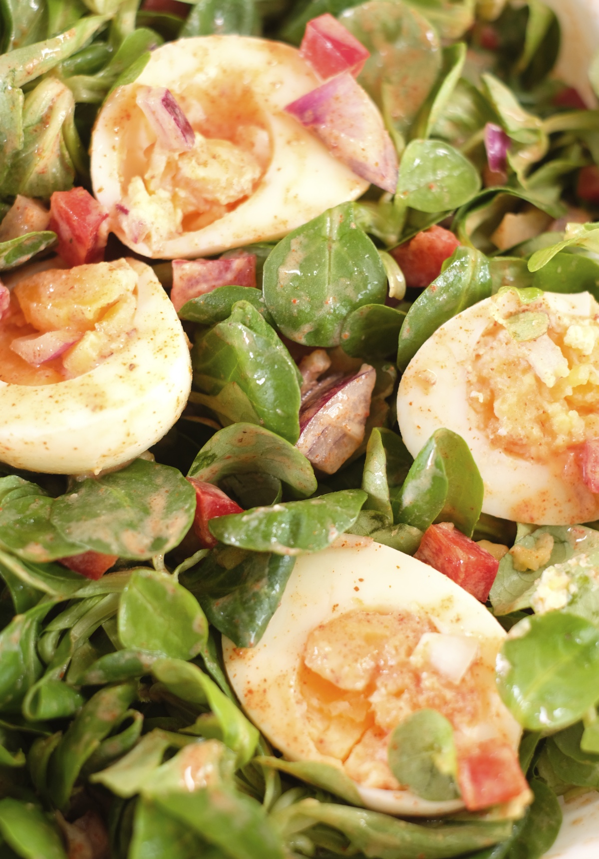 Close-up of spicy egg salad with soft boiled eggs, lamb's lettuce and creamy dressing